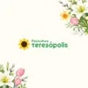 Logo Floricultura Teresópolis